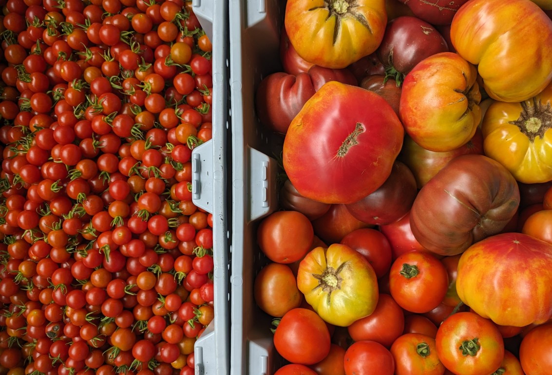 2025 Pack-Your-Own Full CSA Share