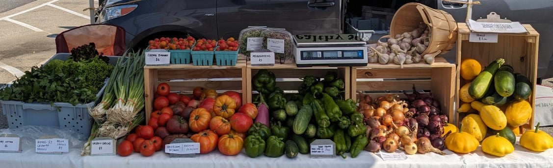 2025 Pack-Your-Own Full CSA Share
