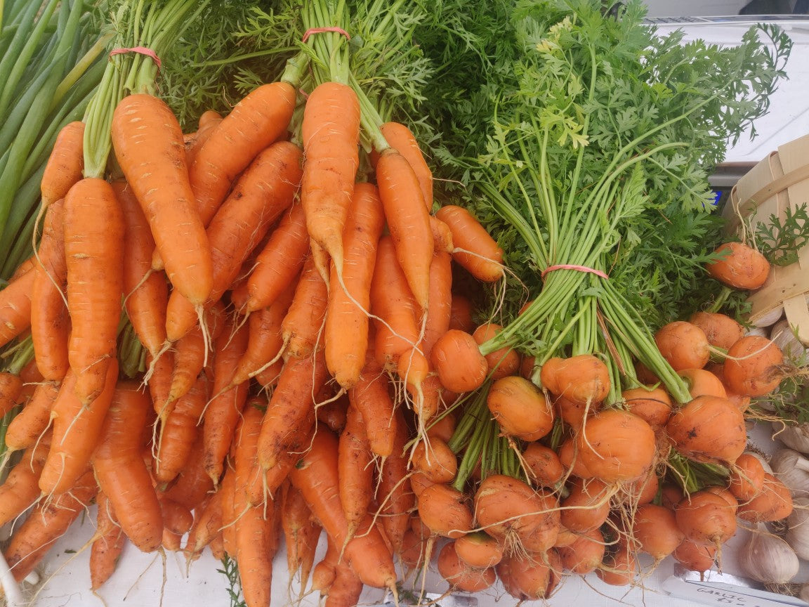 2025 Pack-Your-Own Full CSA Share