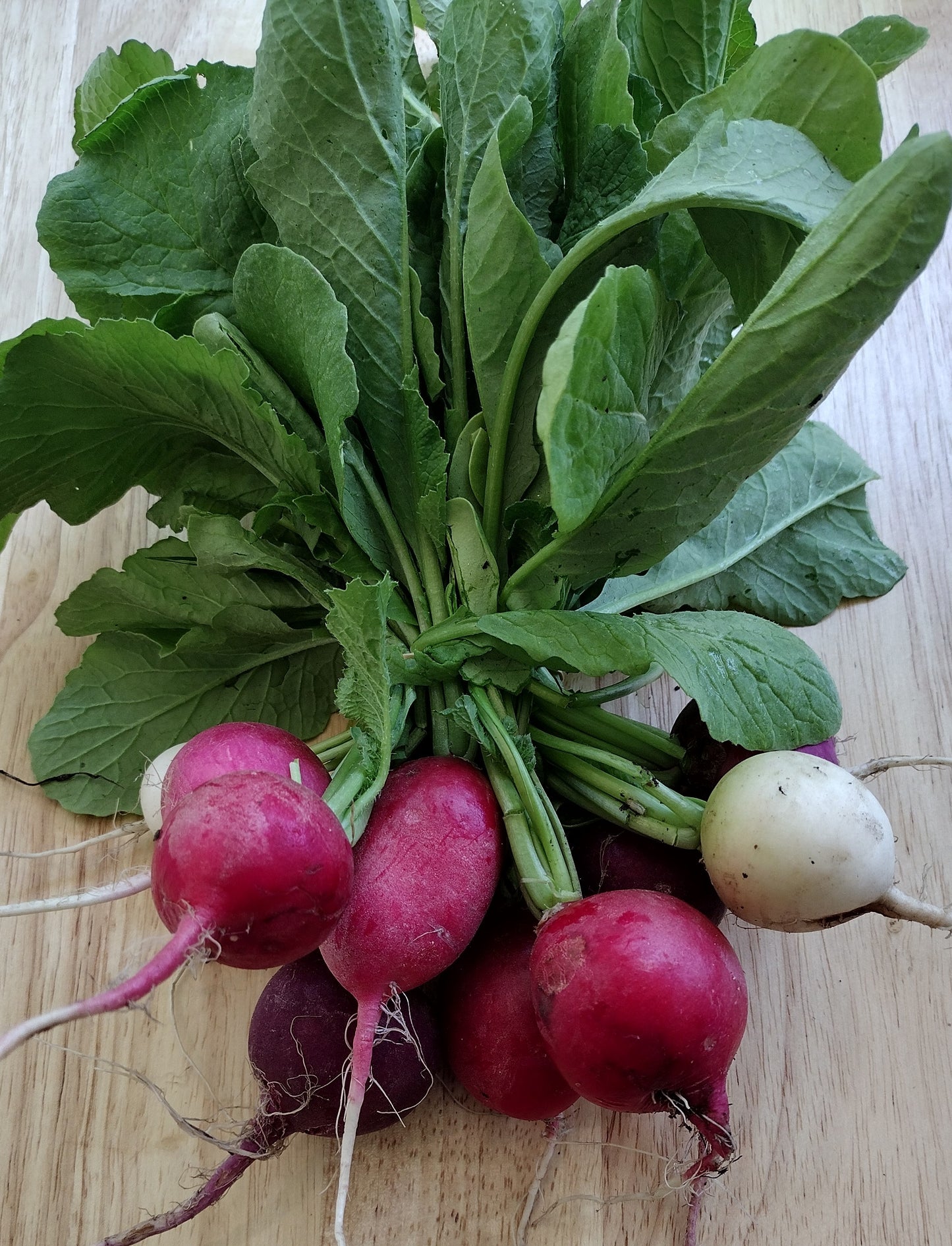 2025 Pack-Your-Own Full CSA Share