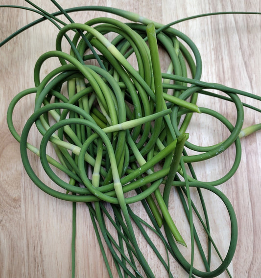What do I do with garlic scapes?