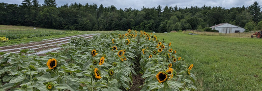 Speak Up for Begin Family Farm!