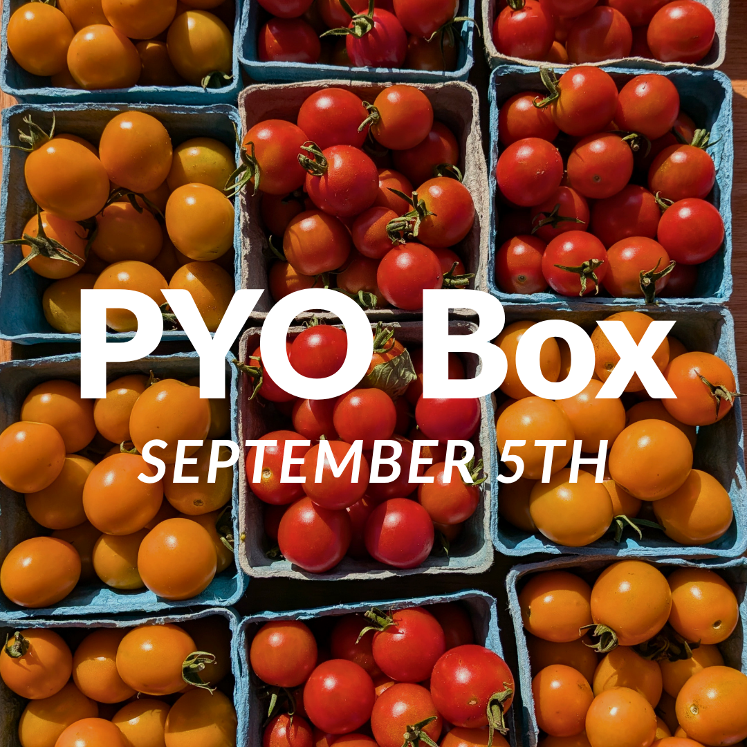 PYO Box for September 5th