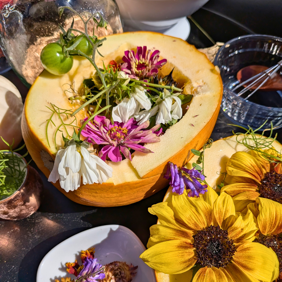 Pumpkin Potions: October 24th at 11am